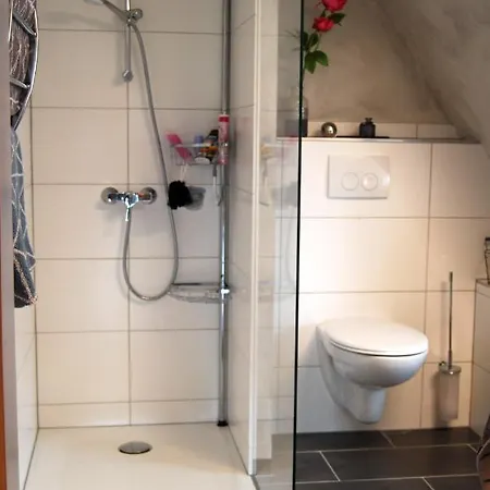 Haus Larrelt Appartamento Goslar